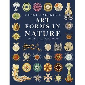 Ernst Haeckel's Art Forms in Nature: A Visual Masterpiece of the Natural World -